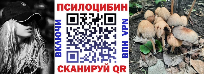 Псилоцибиновые грибы Magic Shrooms  где продают   Гай 