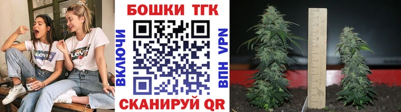 сколько стоит  Гай  Бошки Шишки план 